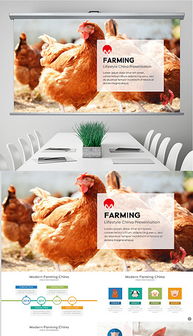 PPTX农村养鸡场 PPTX格式农村养鸡场素材图片 PPTX农村养鸡场设计模板 